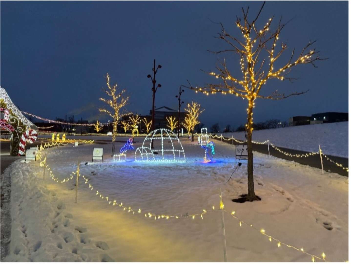 Photo of An illuminated giant engagment ring at the 5 Season Lights at the McGrath Amphitheater in Cedar Rapids