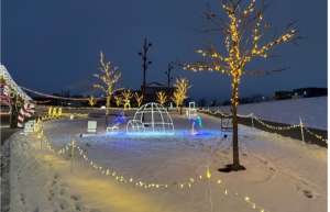 Thumbnail photo of An illuminated giant engagment ring at the 5 Season Lights at the McGrath Amphitheater in Cedar Rapids