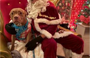 Thumbnail photo of Santa Claus and a dog at the 5 Season Lights at the McGrath Amphitheater in Cedar Rapids
