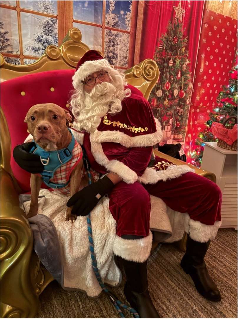 Photo of Santa Claus and a dog at the 5 Season Lights at the McGrath Amphitheater in Cedar Rapids