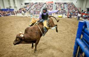 Thumbnail photo of Rodeo rider at the Bridge View Center