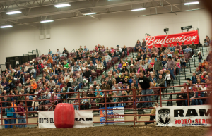 Thumbnail photo of People in stands at Rodeo