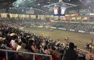 Thumbnail photo of a packed Einhusen arena watches Rodeo.
