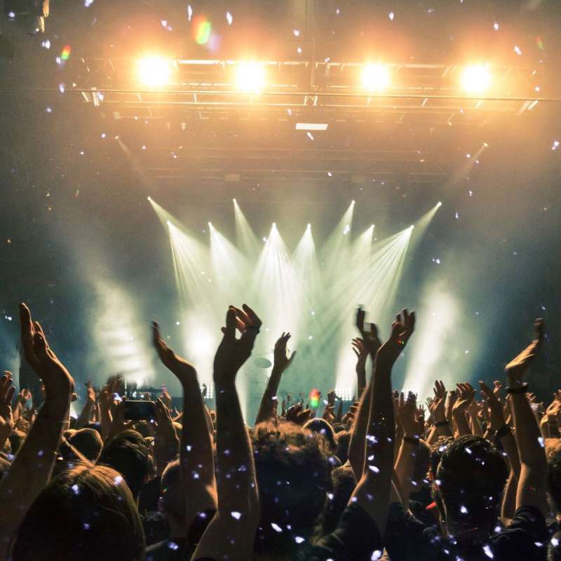 audience at a full concert