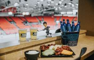 Thumbnail photo of Toyota Center - Gallery #4